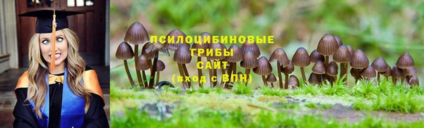 герыч Щучье