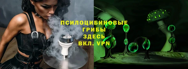 шишки Шадринск