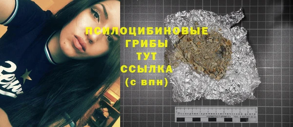 шишки Шадринск